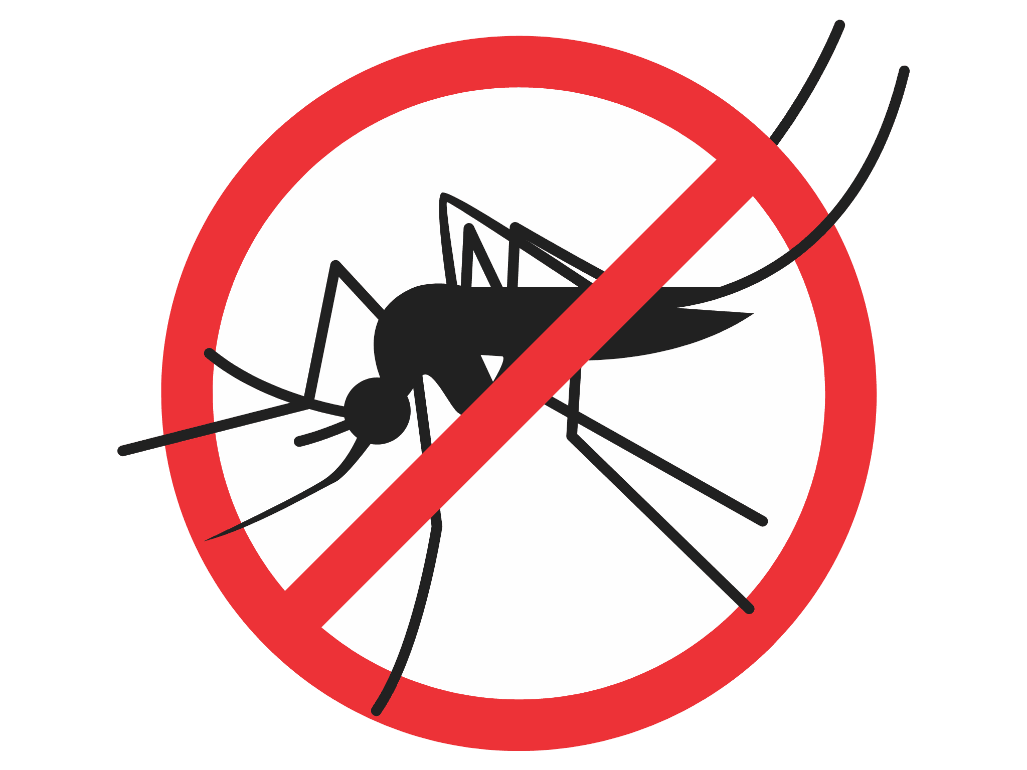 Illustration moustique barré