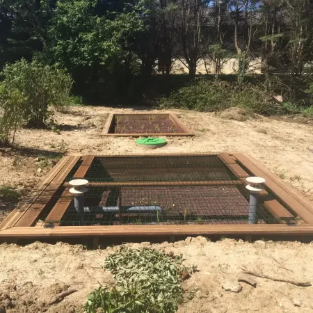 Phytoépuration en bois enterrée